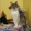 Отзыв от Альфия Куликова